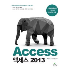액세스(Access) 2013:컴퓨터활용능력 1급 대비 기출문제 수록, 글로벌