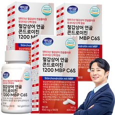 철갑상어 연골 콘드로이친 1200 MBP C6S 6형 저분자 식약청 HACCP 액티뮨, 3개, 180정
