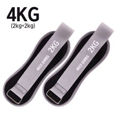 에이크 핏웨이트 모래주머니 2개입 손목 발목 중량밴드, 블랙, 2kg