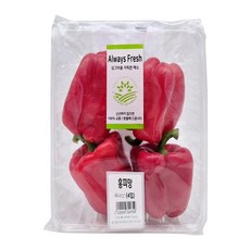 국내산 홍피망, 1개, 4개입