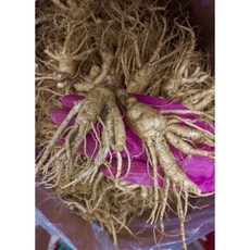 [미리네인삼] 6년근 못난이인삼 600g (가정용상품), 1세트