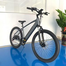 電動輔助自行車 26吋 登山自行車 可拆卸電池, 灰色,48伏-20Ah50-60公里, 1個