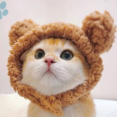 디디몰 고양이 동물모자 강아지귀여운모자, 팬더