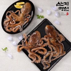 [산지명인] 전남 고흥 산낙지 5마리 산소포장 활낙지 뻘낙지, 1박스, 세발낙지 5마리 (산소포장)