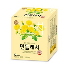 송원 민들레차 40T, 700mg, 40개입, 1개, 700mg