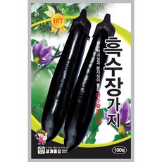 세계종묘 흑수장가지 씨앗 100립, 1개