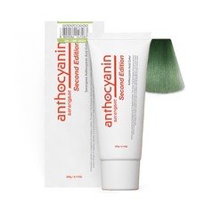 안토시아닌 산성칼라 헤어매니큐어 230g 52색상, 라임그린, 1개