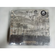 王曉芳/楊海崧《水道無形》2024專輯 CD 摩登天空 全新未拆封, 如圖所示