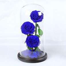 永生花玻璃罩 九朵紫色玫瑰 不凋花盅, 藍色