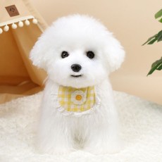 진짜같은 강아지인형 비숑 말티즈 소형견 애착인형 리얼 선물, 30cm-39cm, 화이트시트비숑-옐로우체크무늬스카프선물상자