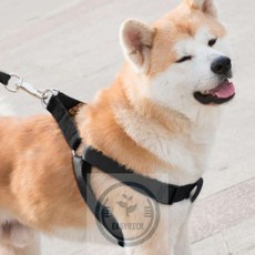 포근한잡화점 블랙 대형견 나일론 목줄&하네스&리드줄세트 XS 강아지목줄 대형견산책줄