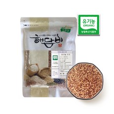 국내산 유기농수수 500g (2025년산), 1개