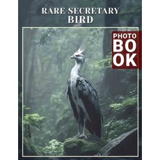 (영문도서) Rare Secretary Bird Photo Book: Stunning Visual Collection Showcasing Unique Se... Paperback, Independently Published, English, 9798303107700