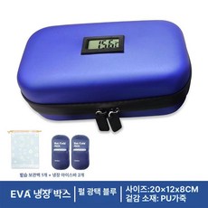 기내반입얼음주머니 냉장 수납 팩, 아이스팩 2개