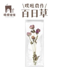 噗噗噠噠 百日草 乾燥花 倉鼠造景佈置, 1個, 百日菊(一束)