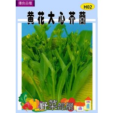 【野菜部屋~】H02 黃花大心芥蘭種子 中包裝, 1包