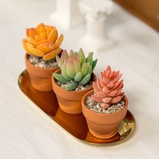 내일의공간 인조 다육이 미니 토분(화분) 3종 세트 (콩분), 1개