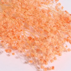 화연양화 표백 안개꽃 10색 한다발 프리저브드플라워, 05 코랄