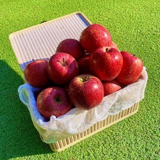 [실패 없는 사과] 고당도 부사 사과 경북 국내산, 1박스, 5kg(소과)