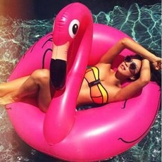 現貨送充氣！小紅鶴泳圈 成人泳圈 歐美造型泳圈 買就送腳踩式充氣桶, 1個