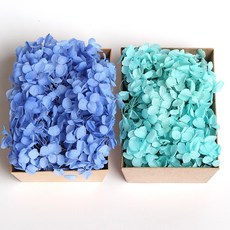 화연양화 톤온톤 박스 수국 2개입 프리저브드플라워 시들지않는생화, 07 오션민트