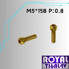 ROYAL 鈦合金螺絲 M5*15B P:0.8 錐形螺絲, 1個