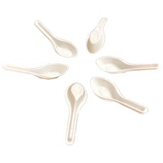 白色 PP 免洗湯匙 (約100支), 1個, 1個裝