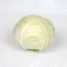 용이네 국내산 양배추 단단한 양배추 1통 2통 3통 적채 적양배추, 1개, 1.5kg