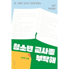 청소년 교사를 부탁해:중 고등부 교사의 고민에 답하는 실전 핵심파일, 홍성사, 정석원 저