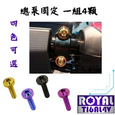 【瘋螺絲】TL 500 專區 64鈦/鈦合金螺絲組 原廠總泵螺絲 四色可選, 1個, 幻彩藍