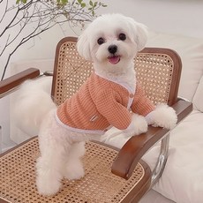 쁘띠도그 허쉬가디건 겨울 반려동물 강아지옷 고양이옷 와플 버튼 아우터 2colors XS~XL, 1개, 오렌지