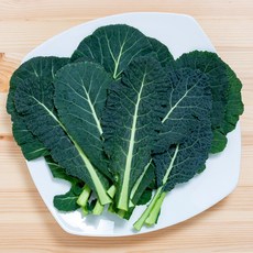 국내산 산지직송 최상급 케일, 1개, 100g