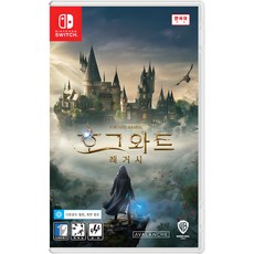 닌텐도 스위치 호그와트 레거시