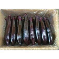 가락싱싱 국내산 가지 5Kg 1박스 (특품)