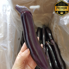 [청정재배] 한입 가득 담백한 풍미 가지, 1박스, 2kg
