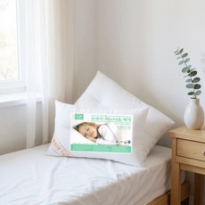 포그니 1+1 코지 에어필 마이크로다운 유아 베개솜 30x50