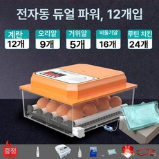 병아리 부화기 미니 자동급수 계란 인큐베이터 전자동