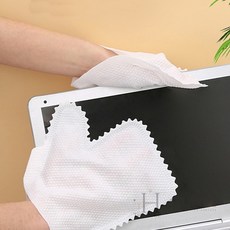 더휴즈 부직포 장갑 청소용 글러브 10P 정전기청소포