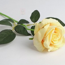 노란장미 테이블조화