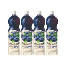 자연은 블루베리 주스, 1.5L, 4개