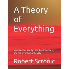 (영문도서)A Theory of Everything: Information Intelligence Consciousness and the Struct... Paperback