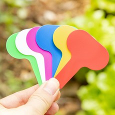 綠色山嵐 T型圓弧造型園藝標籤，多肉植物花牌，花卉插牌標示牌，園藝盆栽裝飾, 綠色