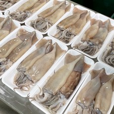 손질 통오징어, 1개, 350g 내외 2미
