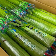 국내산 애호박 20개 1박스 업소용, 약 8kg