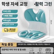 굽은등 곧게 인체공학 허리 지지 등받이 쿠션 사무실 자세 교정용, 어린이용 기본 [바이브런트그린]