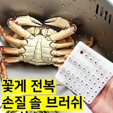 쎄네핏 꽃게손질솔 꽃게손질솔브러쉬 전복세척솔 꽃게솔 전복솔, 1개, 화이트