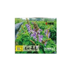 淺草堂 KAKOROT 有機丹參粉 高純度, 100g, 1個