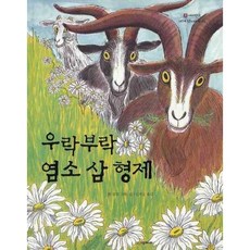 [시공주니어] 우락부락 염소 삼 형제 [양장] (네버랜드 세계 옛이야기 20) [따뜻한책방]