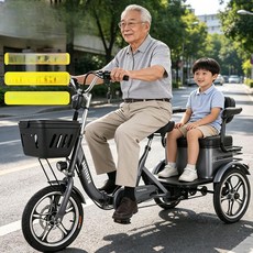 샤인픽스토어 2인용전기자전거 자토바이 2인승 배달용, 와인레드 12a 그래핀 납축전지 50km, 48V