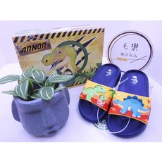 ARNOR 恐龍涼鞋 兒童拖鞋